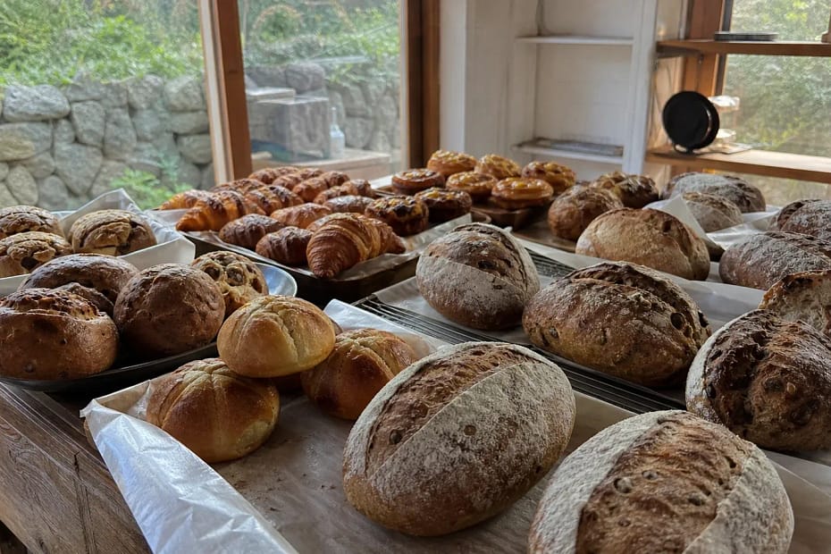 제주 지역 bakery 방문 전 확인사항을 소개하는 사실적인 참고 이미지