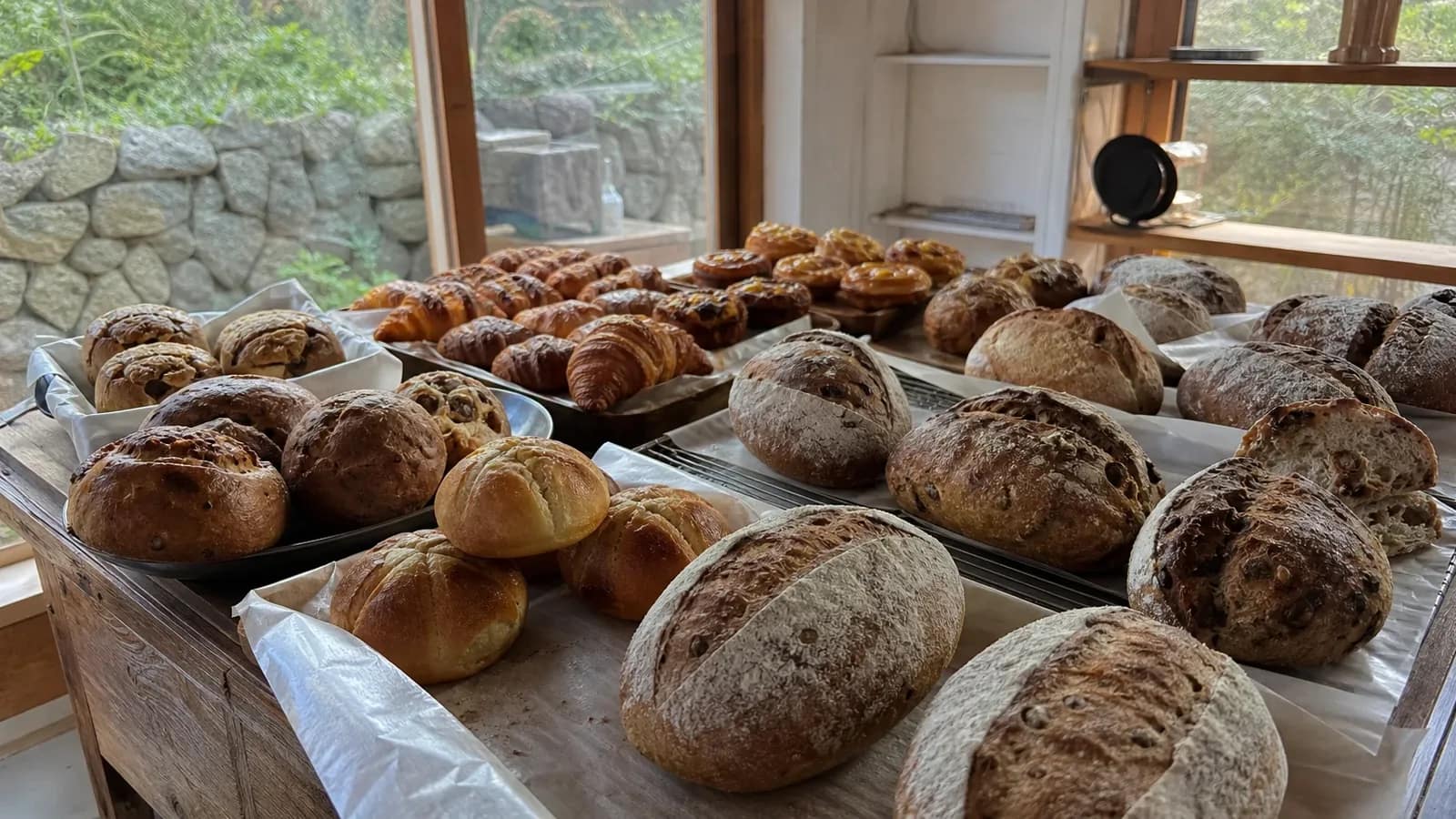 제주 지역 bakery 방문 전 확인사항을 소개하는 사실적인 참고 이미지
